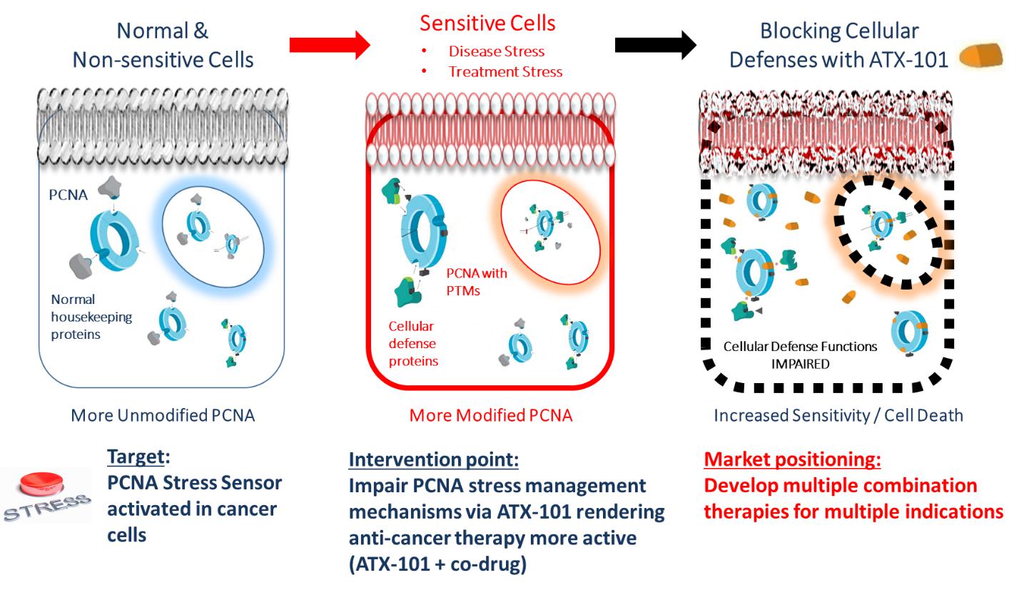 pipeline intervention point 2